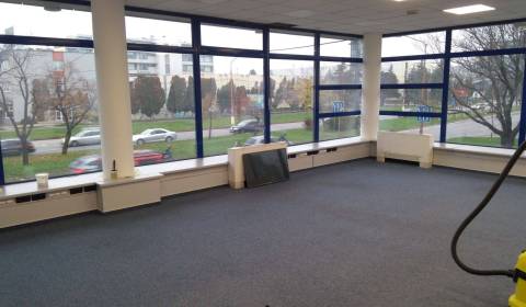 Pronájem Kancelářské prostory, Kancelářské prostory, Trnavská cesta, B