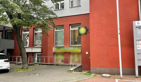 Pronájem Prostory pro obchod, Prostory pro obchod, Záhradnícka, Bratis