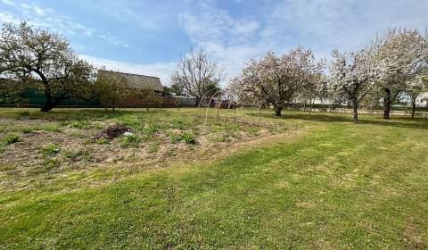 Prodej Pozemky - bydlení, Topoľčany, Slovensko