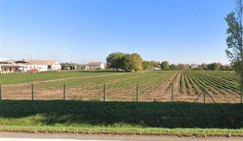 Prodej Pozemky - bydlení, Pozemky - bydlení, Novozámocká, Nitra, Slove