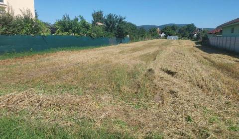 Prodej Zahrady, Zahrady, Nitra, Slovensko