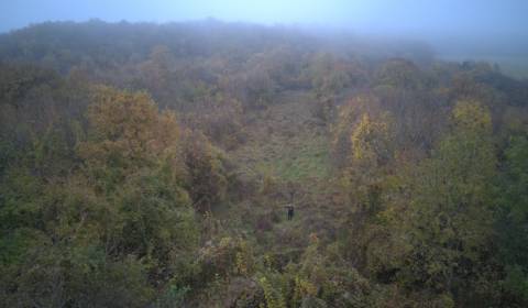 Prodej Zahrady, Zahrady, Nitra, Slovensko