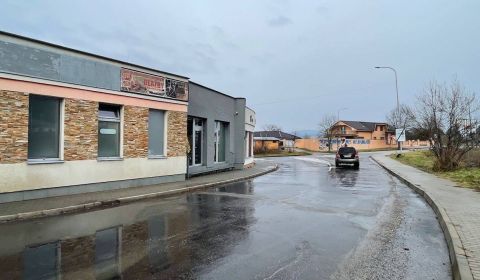 Pronájem Prostory pro obchod, Prostory pro obchod, Partizánske, Sloven