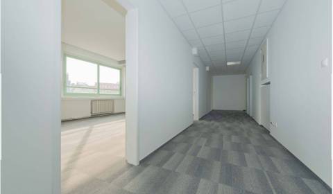 Pronájem Kancelářské prostory, Kancelářské prostory, Námestie SNP, Bra