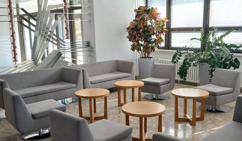 Pronájem Kancelářské prostory, Kancelářské prostory, Podunajská, Brati