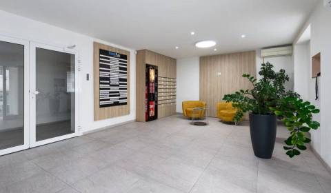 Pronájem Kancelářské prostory, Kancelářské prostory, Koceľova, Bratisl