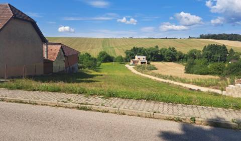 Prodej Zemědělské a lesní, Zemědělské a lesní, Bánovce nad Bebravou, S