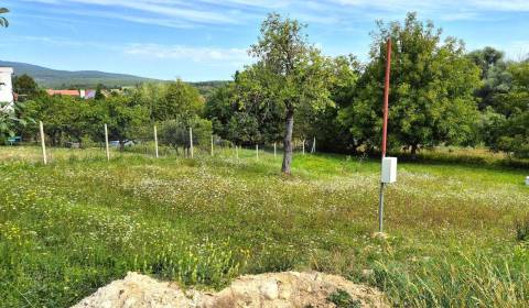 Prodej Pozemky - bydlení, Pozemky - bydlení, Topoľčany, Slovensko