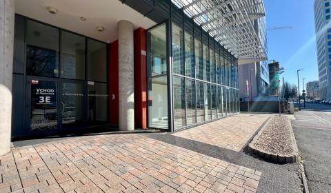 BA/NIVY - Multifunkční obchodní prostory na frekventované adrese