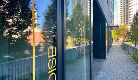 Pronájem Prostory pro obchod, Prostory pro obchod, Jarabinková, Bratis