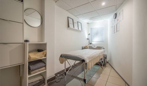 Pronájem Prostory pro obchod, Prostory pro obchod, Bajkalská, Bratisla