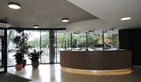 Pronájem Kancelářské prostory, Kancelářské prostory, Röntgenova, Brati