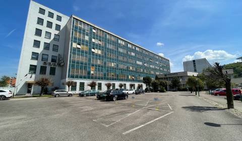 Pronájem Kancelářské prostory, Kancelářské prostory, K výstavisku, Tre