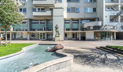 Pronájem Kancelářské prostory, Kancelářské prostory, Námestie Martina 