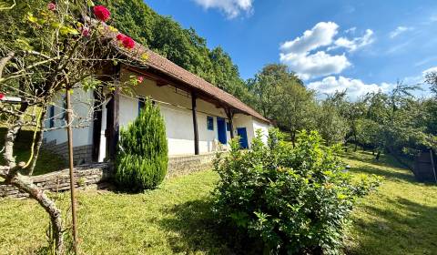 Prodej Rodinný dům, Rodinný dům, Myjava, Slovensko