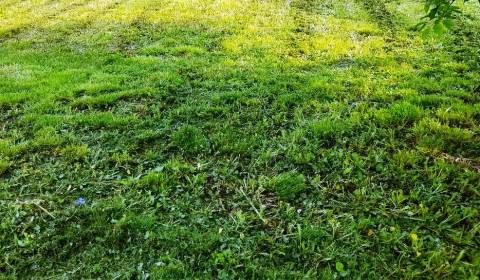 Prodej Pozemky - bydlení, Pozemky - bydlení, Michalovce, Slovensko