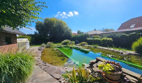 Prodej Rodinný dům, Rodinný dům, Senec, Slovensko