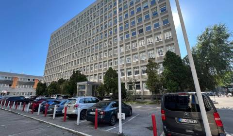 Pronájem Kancelářské prostory, Kancelářské prostory, Miletičova, Brati