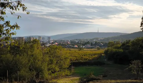 Prodej Pozemky - bydlení, Pozemky - bydlení, Bratislava - Rača, Sloven