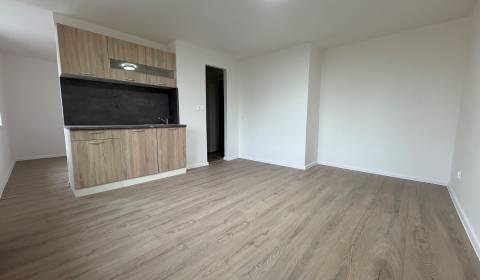 Prodej Byt 1+1, Byt 1+1, Stodolova, Bratislava - Ružinov, Slovensko