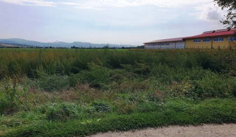 Prodej Zemědělské a lesní, Zemědělské a lesní, Nové Mesto nad Váhom, S