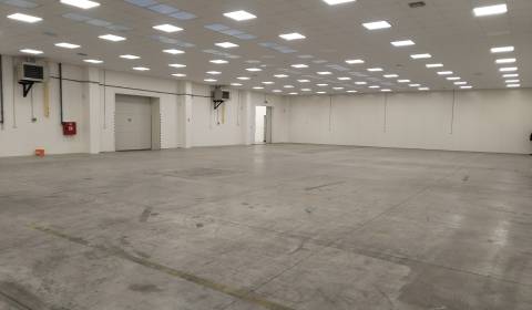 Pronájem Haly a sklady, Haly a sklady, Stará Vajnorská, Bratislava - N