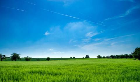 Prodej Pozemky - bydlení, Pozemky - bydlení, Levice, Slovensko