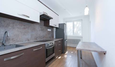 Komfortní 3+1 byt po rekonstrukci s garáží a zahrádkou v Galantě