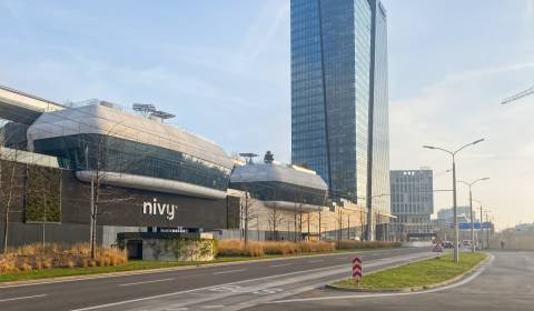 Pronájem Kancelářské prostory, Kancelářské prostory, Mlynské nivy, Bra