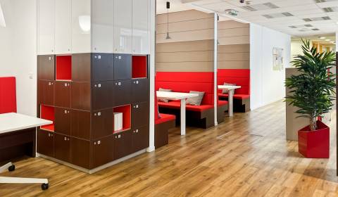 Pronájem Kancelářské prostory, Kancelářské prostory, Karadžičova, Brat