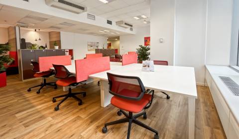 Pronájem Kancelářské prostory, Kancelářské prostory, Karadžičova, Brat