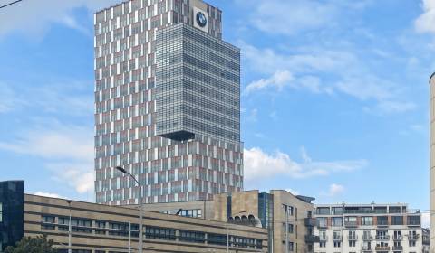 Pronájem Kancelářské prostory, Kancelářské prostory, Karadžičova, Brat