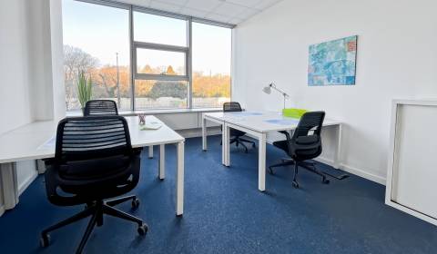 Pronájem Kancelářské prostory, Kancelářské prostory, Karadžičova, Brat