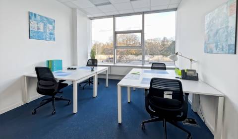 Pronájem Kancelářské prostory, Kancelářské prostory, Karadžičova, Brat