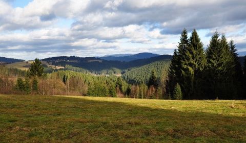 Prodej Zemědělské a lesní, Zemědělské a lesní, Čadca, Slovensko