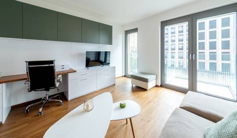 Pronájem Byt 1+1, Byt 1+1, Bottova, Bratislava - Staré Mesto, Slovensk