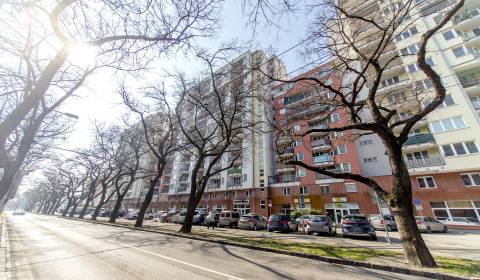 Pronájem Garáže, Garáže, Jégého, Bratislava - Ružinov, Slovensko