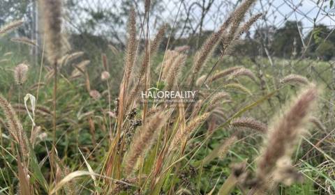 Prodej Pozemky - bydlení, Zlaté Moravce, Slovensko