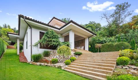 Moderní rodinný dům u lesa s vlastním potokem v Bratislavě