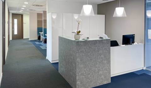 Pronájem Kancelářské prostory, Kancelářské prostory, Prievozská 4D, Br