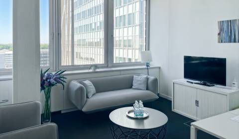 Pronájem Kancelářské prostory, Kancelářské prostory, Prievozská 4D, Br