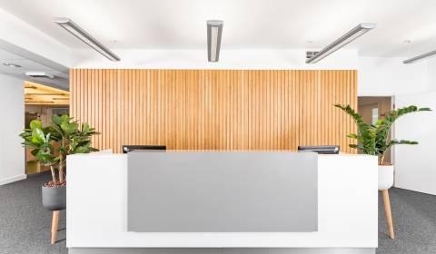 Pronájem Kancelářské prostory, Kancelářské prostory, Suché Mýto 1, Bra