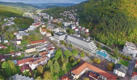 Prodej Pozemky - komerční, Pozemky - komerční, Hurbanova, Trenčín, Slo