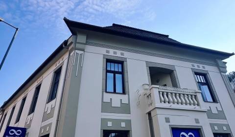 Pronájem Prostory pro obchod, Prostory pro obchod, Braneckého, Trenčín