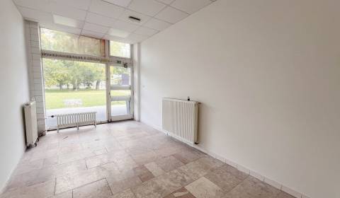 Pronájem Prostory pro obchod, Prostory pro obchod, Herlianska, Bratisl