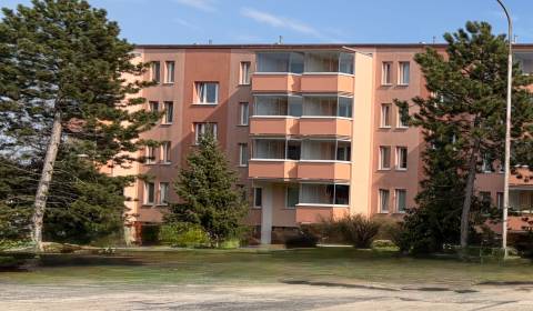 Pronájem Byt 1+1, Byt 1+1, Štefánikova, Senica, Slovensko