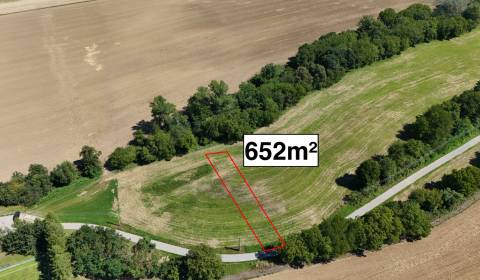 Prodej Zemědělské a lesní, Zemědělské a lesní, Nové Mesto nad Váhom, S