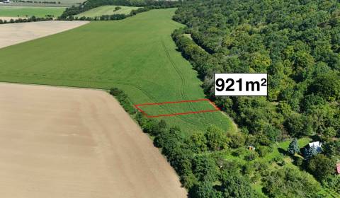 Prodej Zemědělské a lesní, Zemědělské a lesní, Nové Mesto nad Váhom, S