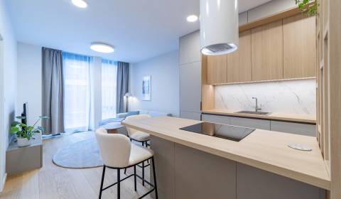 Pronájem Byt 2+1, Byt 2+1, Mierová, Bratislava - Ružinov, Slovensko