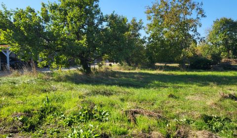 Prodej Rodinný dům, Rodinný dům, Bruck an der Leitha, Rakousko
